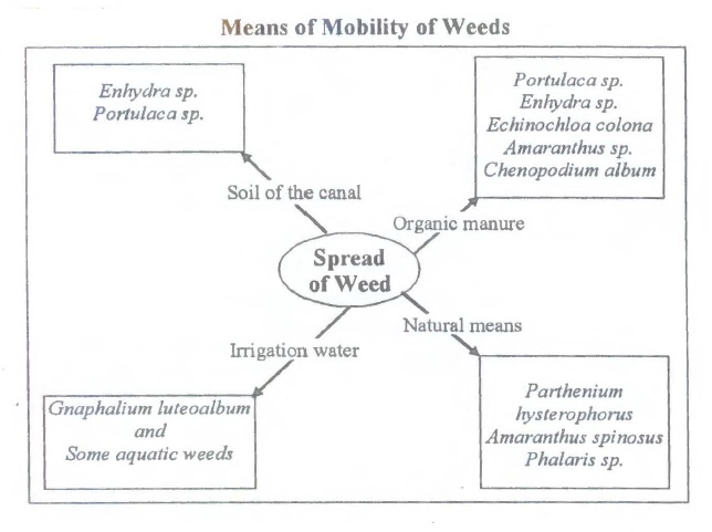 Fig 4: Means of Mobility of Weeds