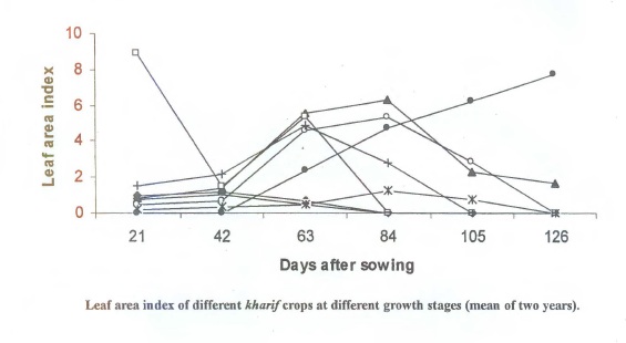 Fig: Leaf area index of different kharif crops at different growth stages (mean of two years).