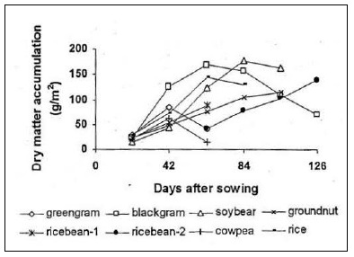 Dry matter accumulation in leaf of different crops at different growth stages [mean of two years].