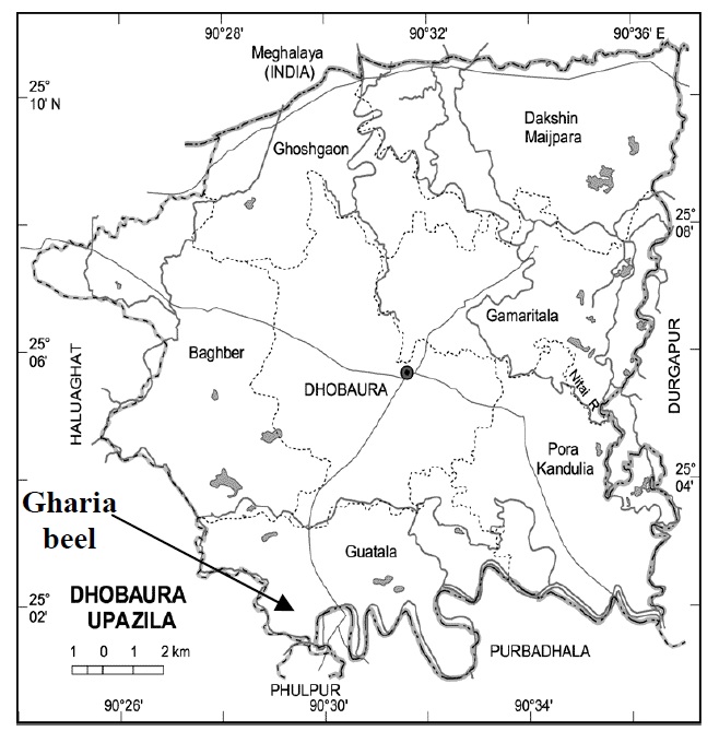 Fig: Map of Dhubaura Upazilla in Bangladesh showing the study area of Gharia beel.