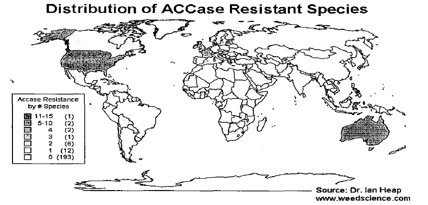 Fig: World distribution of ACCase resistant weed species