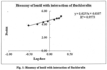 Fig: Bioassay of lentil with interaction of fluchloralin.
