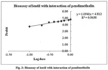 Fig: Bioassay of lentil with interaction of pendimethalin.