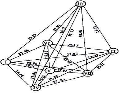 Fig: Cluster diagram showing interrelationship among seven clusters using D2 analysis (not to scale)